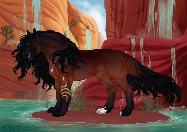 Bastet ♀ 5M, ✦Akhal✦, UC Tail