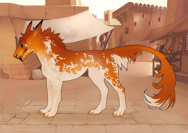 Sarkhaem ♀ 7M, Sabino, Rare Tail, UC Ears