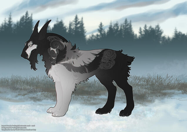 Jenova ♂ 6M, Angora, Smoked, Void, UC Ears